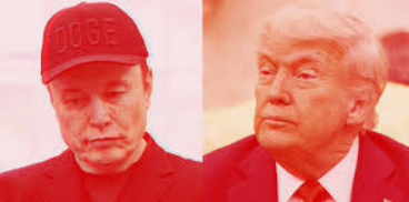 Снимок