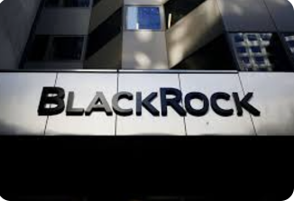 BlackRock сделал прогноз на 2025 г.